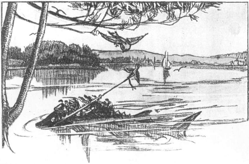 MAKING THE STURGEON USEFUL