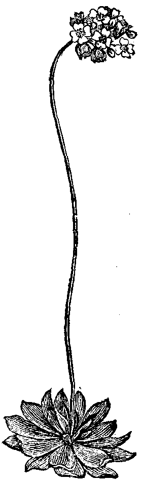 Fig. 15.
