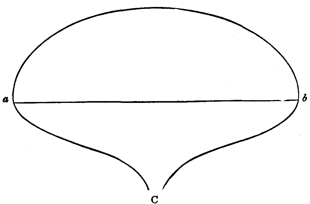 Fig. 5. Typical flower petal.