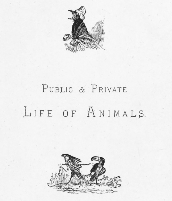 Public & Private Life OF Animals.