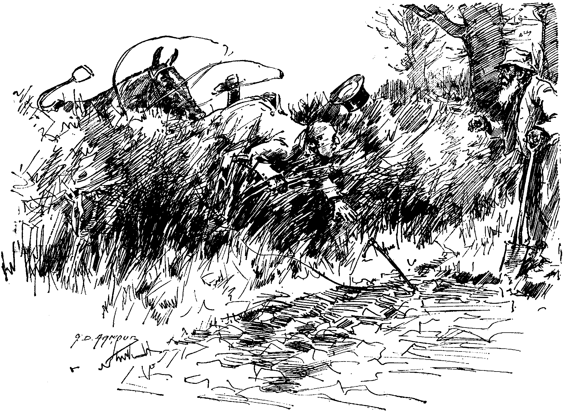 A fall at a hedge.
