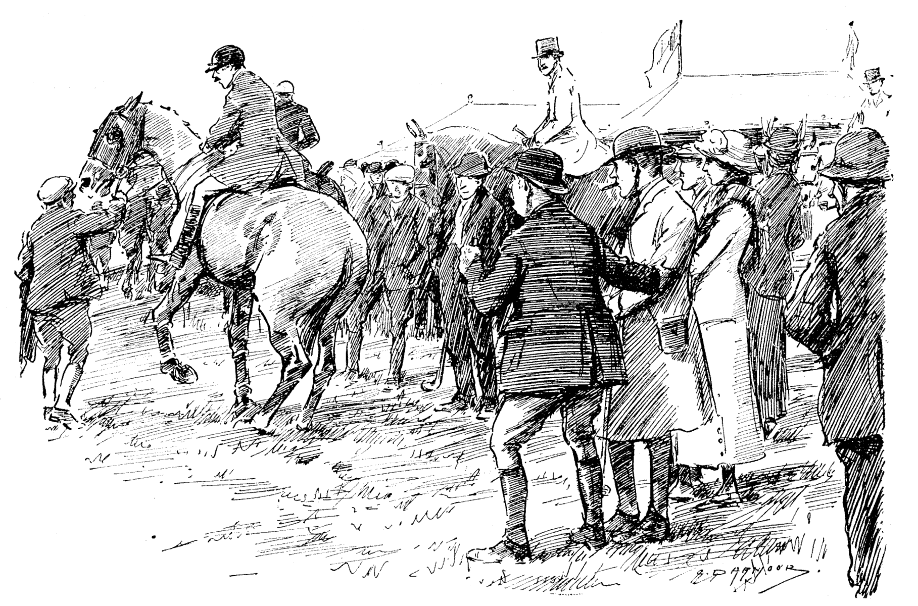 A POINT TO POINT IN IRELAND.