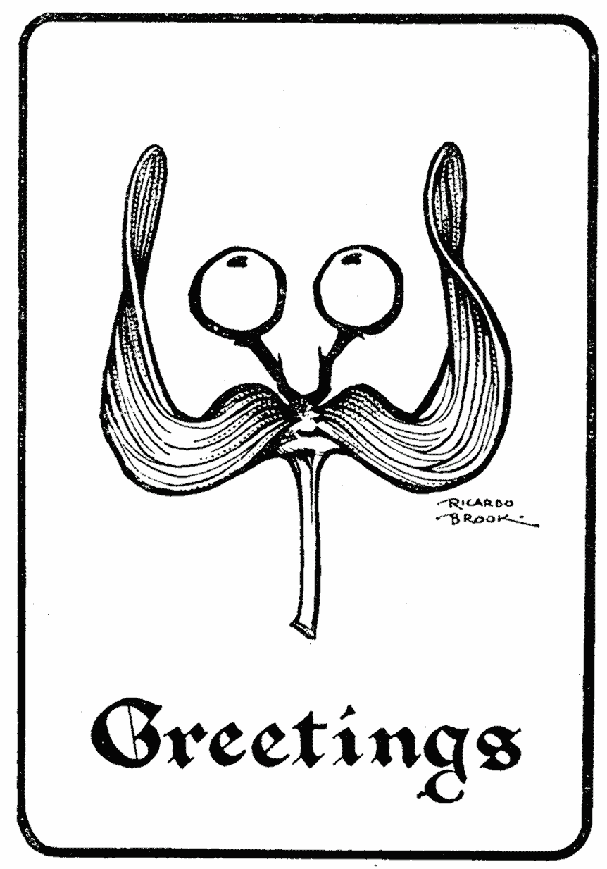 THE WILHELM MISTLETOE