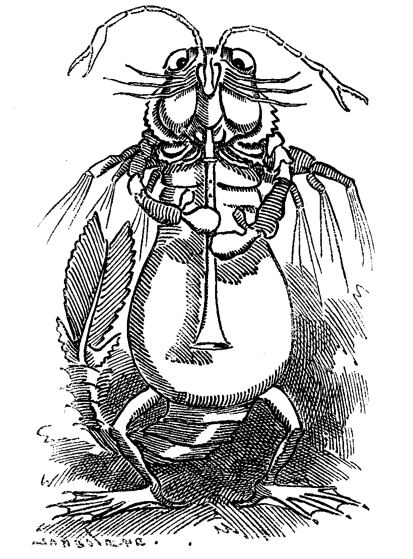 DARWINIAN ANCESTOR