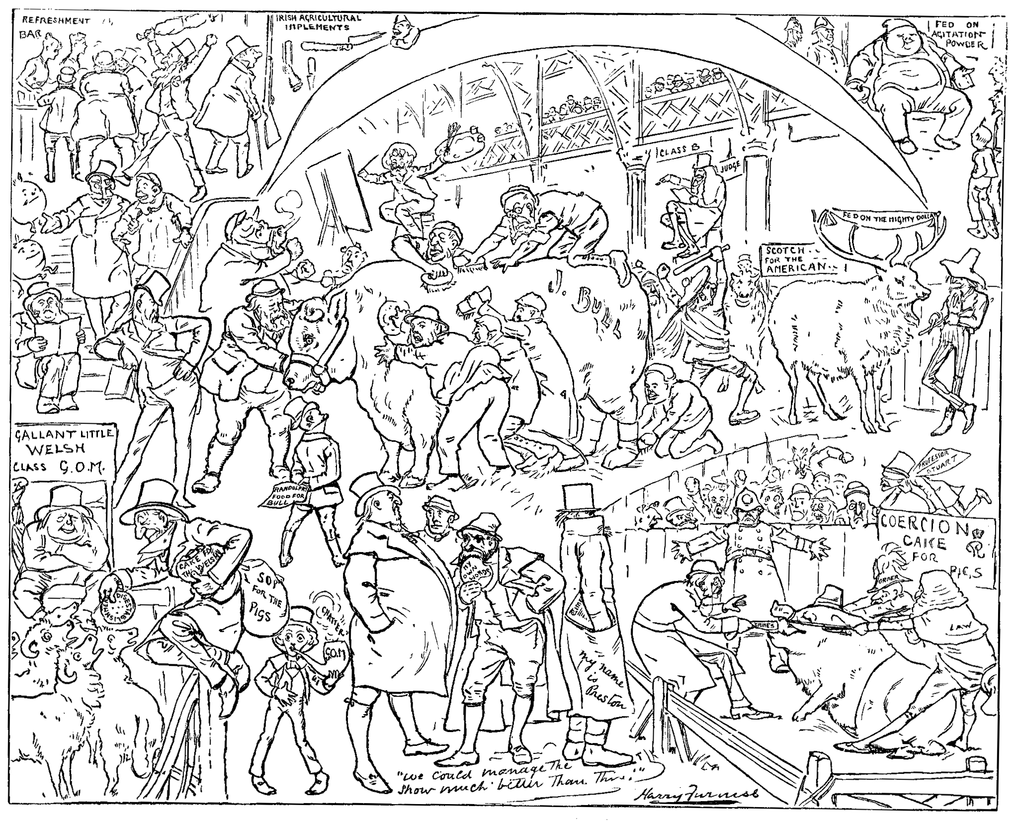 THE PARLIAMENTARY CATTLE-SHOW.