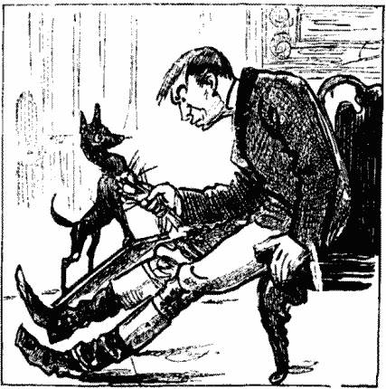 Pulling the Stuffing out of Toy Terrier