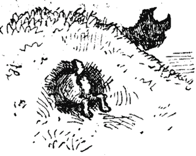 Holloway