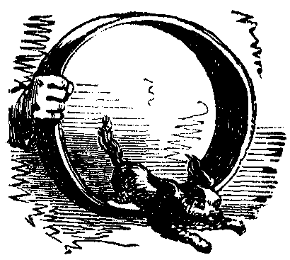 A dog jumps through a hoop (Letter O).