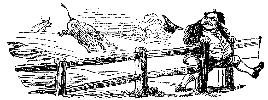 A man runs through a fence as a bull chases him.