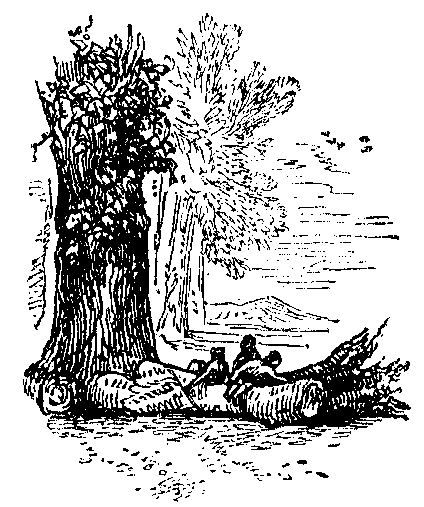 People under a tree building a canoe form a letter L
