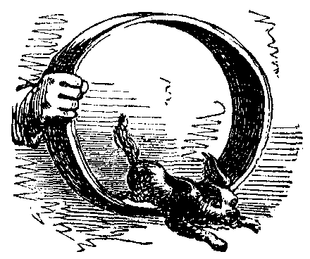 A dog jumps through a hoop and forms a letter Q