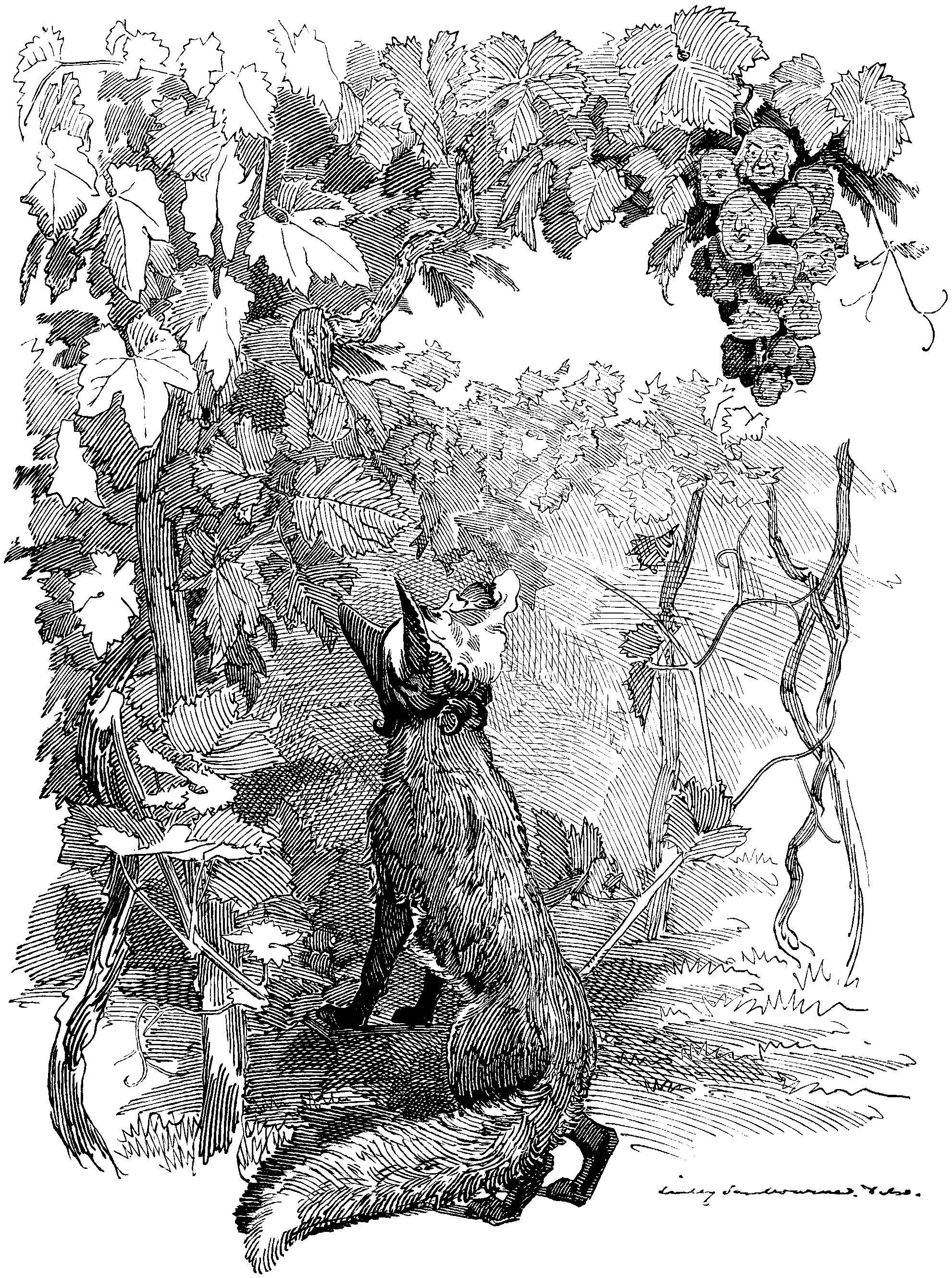 'LA-BOUCHE-RE(-NARD) ET LES RAISINS.'