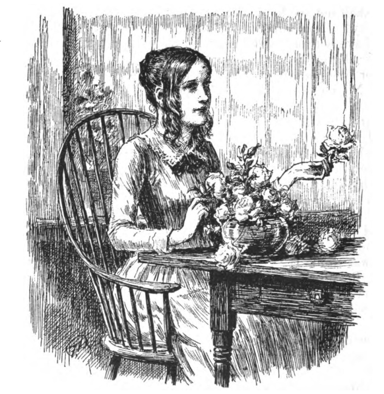 'Look at these roses, and don't ask me for papers!'