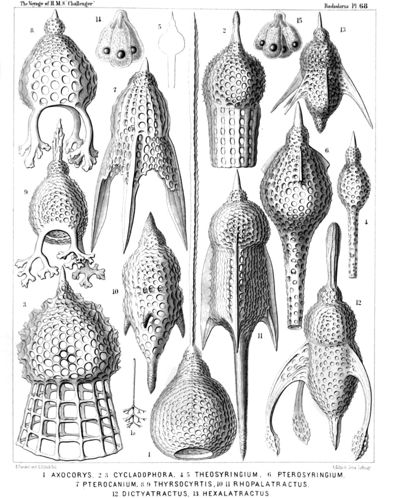 Plate 68.