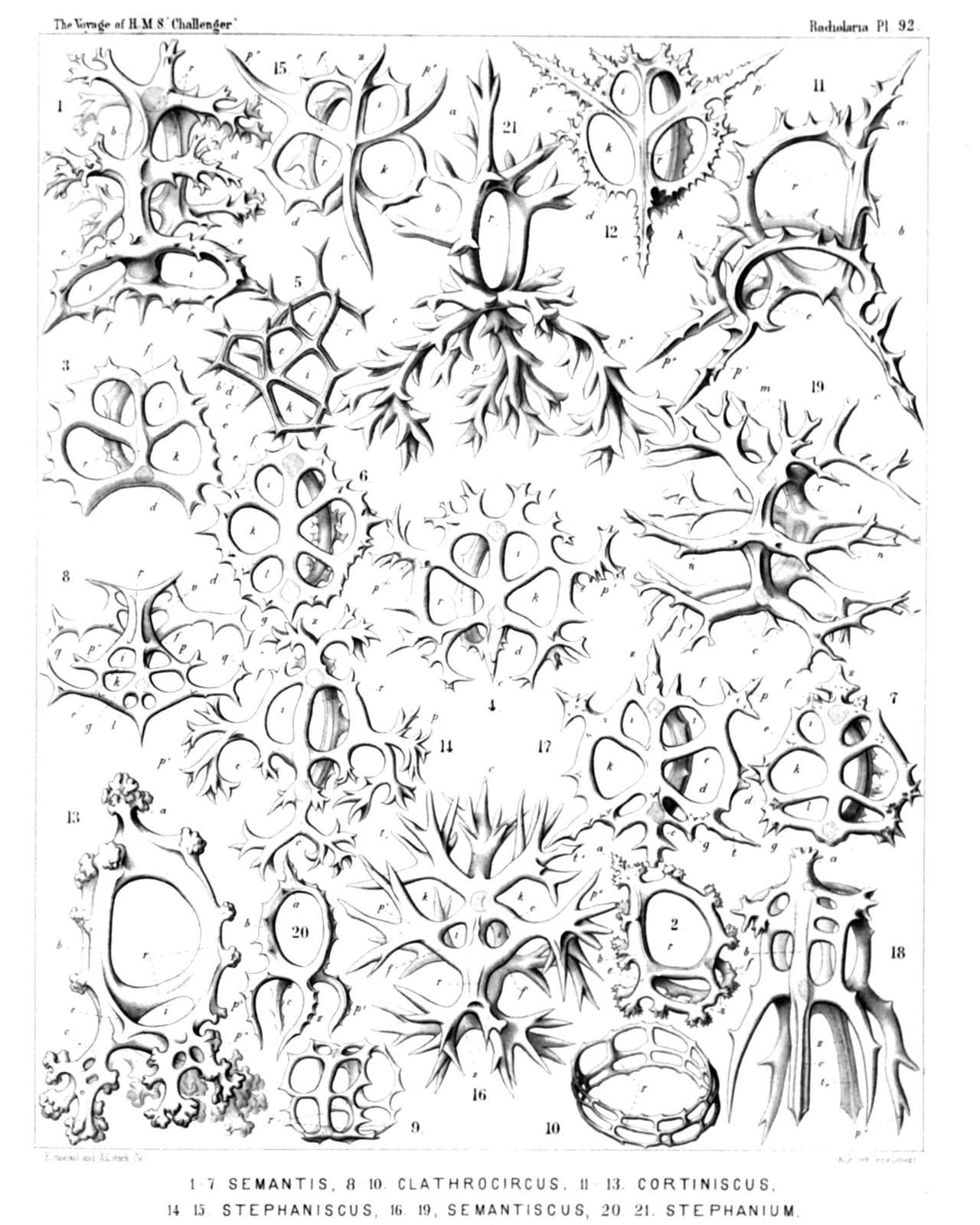 Plate 92.