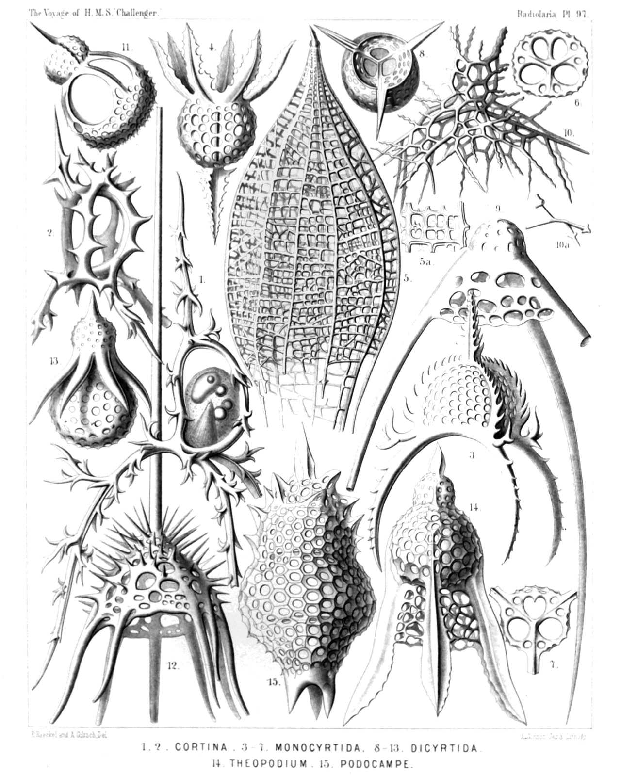 Plate 97.