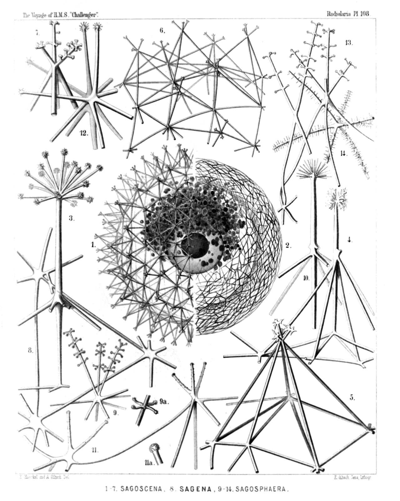 Plate 108.