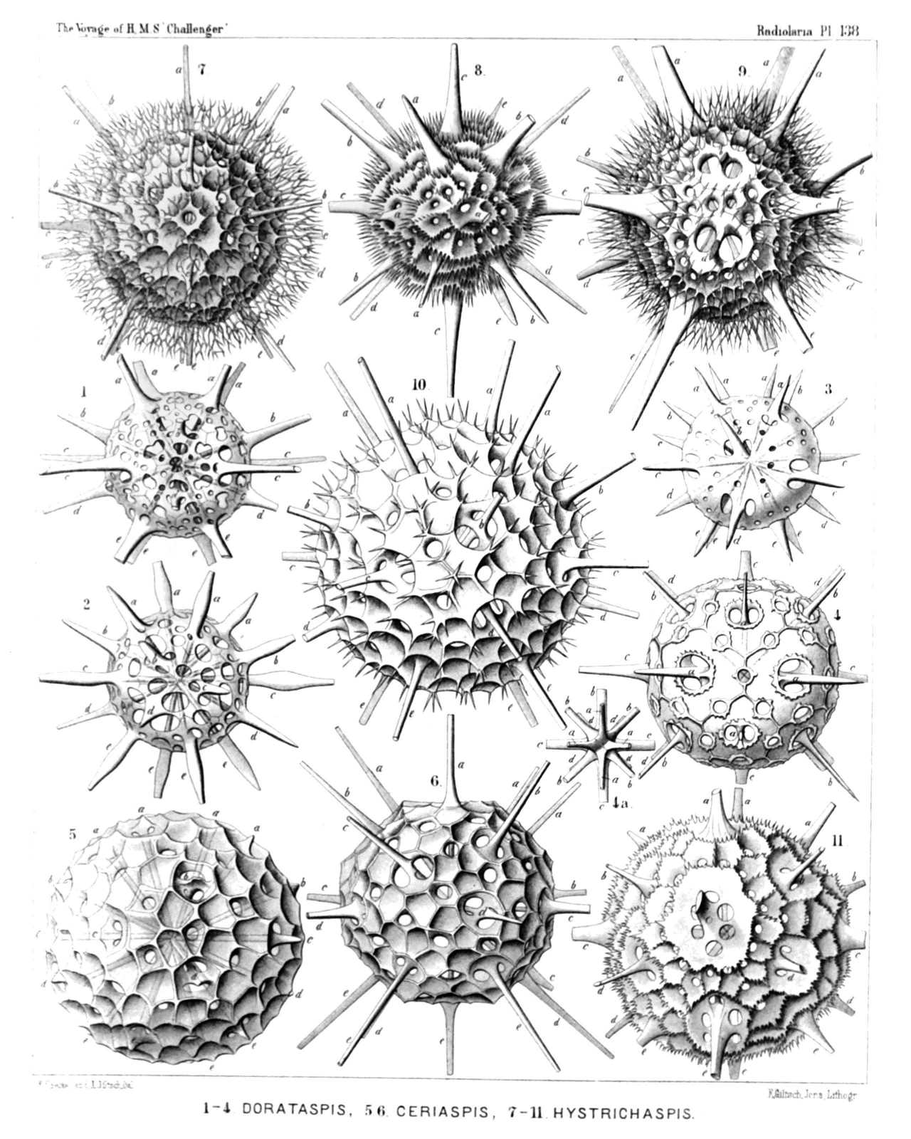 Plate 138.