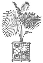 Decorative picture of plant