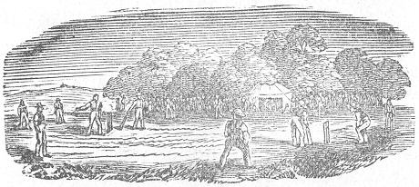 Rural scene