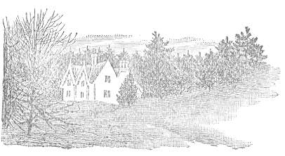 Picture of house in trees