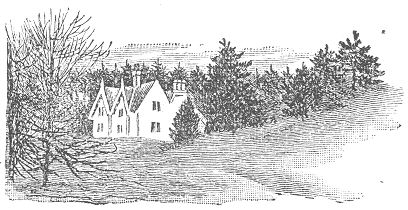 Picture of house in trees