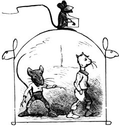 three rats