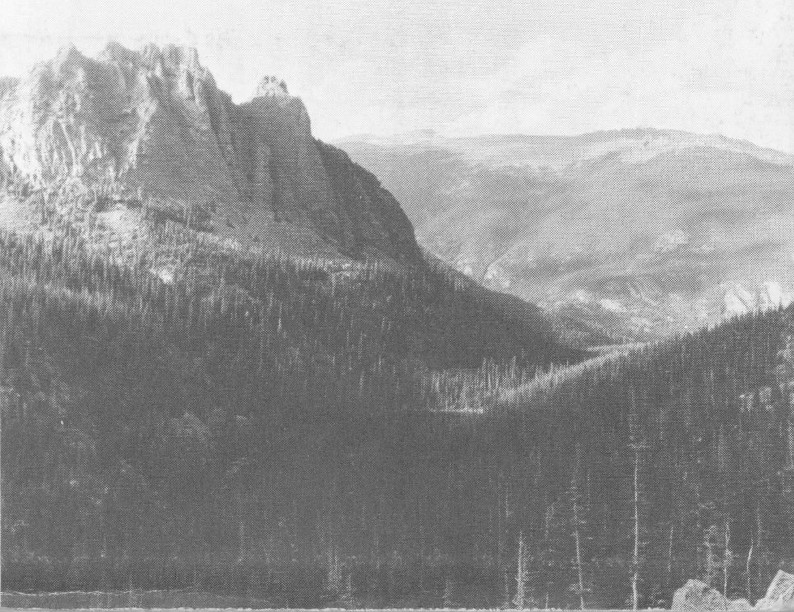Landscape.