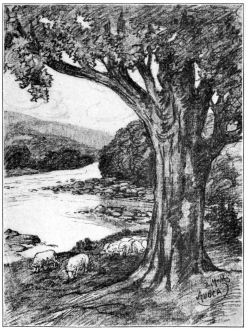 THE VALE OF AVOCA.