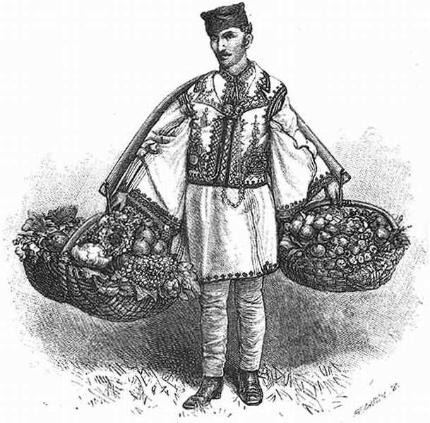 FRUIT-SELLER OF BUCAREST. FRUIT-SELLER OF BUCAREST.