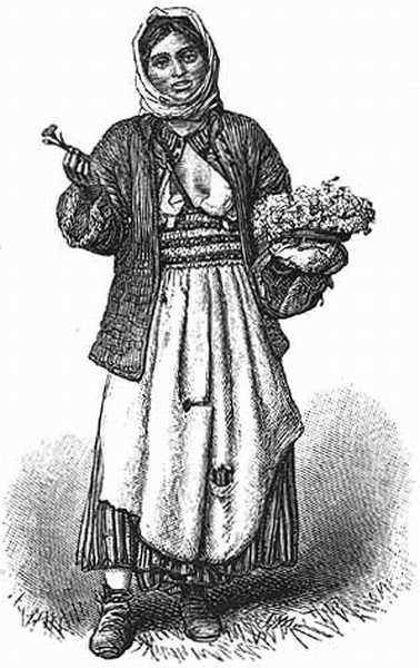GIPSY FLOWER-SELLER. GIPSY FLOWER-SELLER.