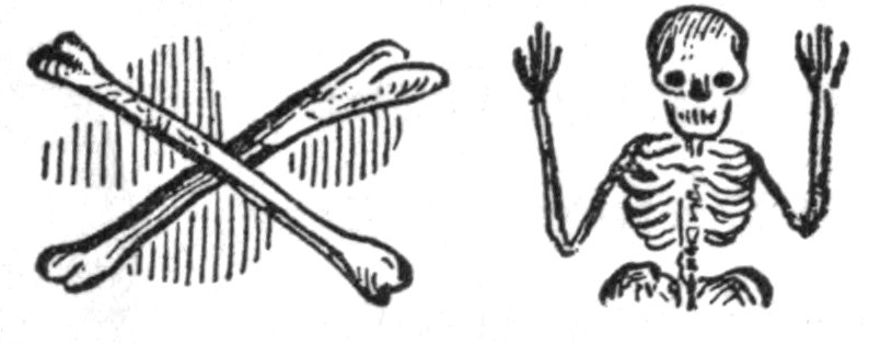 Crossed bones and skeleton Crossed bones and skeleton
