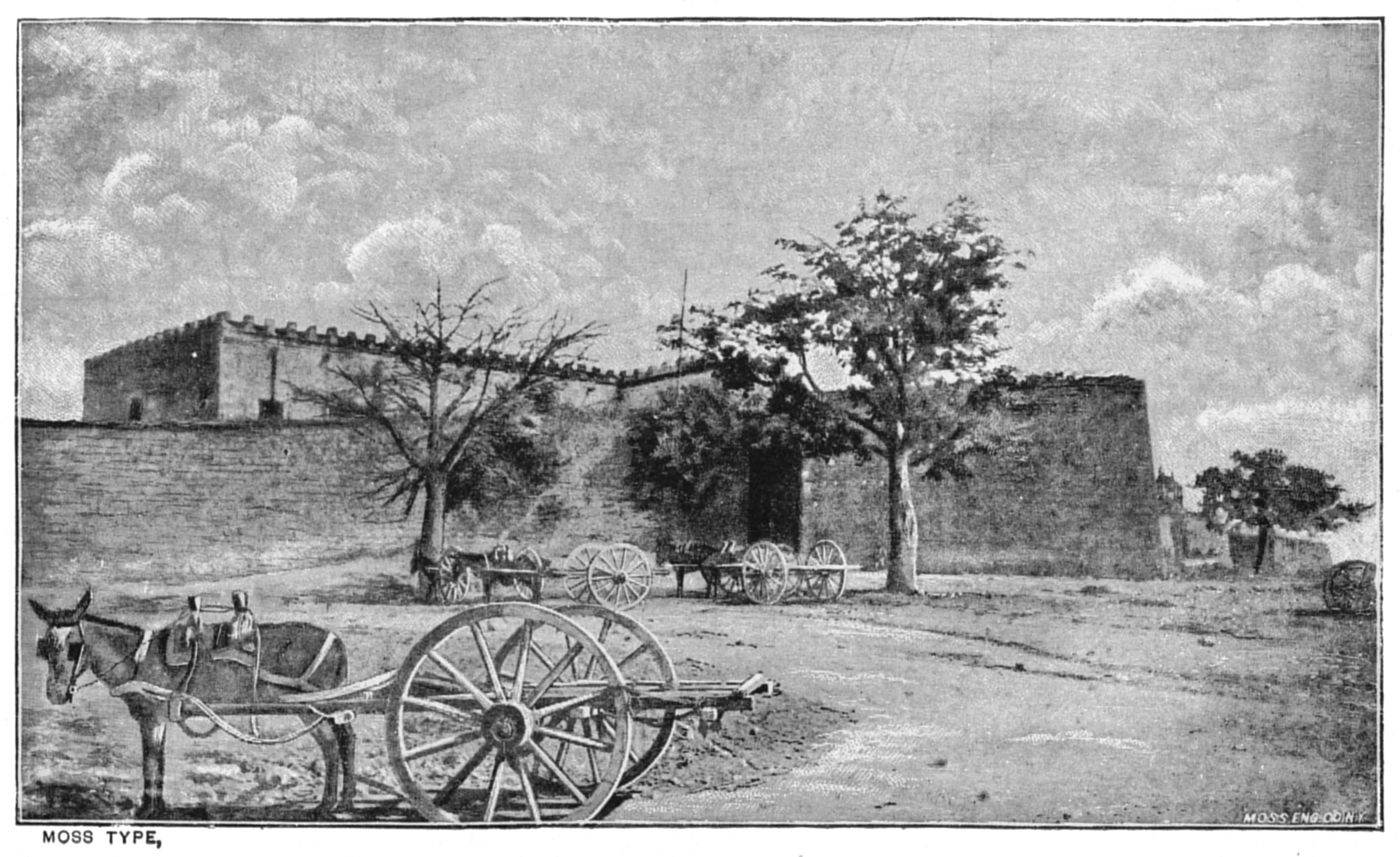 Building with donkey-carts - not mentioned in the List of Illustrations Building with donkey-carts - not mentioned in the List of Illustrations