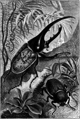 Illustration image17