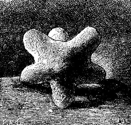 FIG. 2.—EXPERIMENT ON THE ELASTICITY OF BODIES.