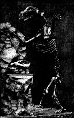SKELETON OF A BEAR FOUND IN A CAVE IN STYRIA, AUSTRIA.