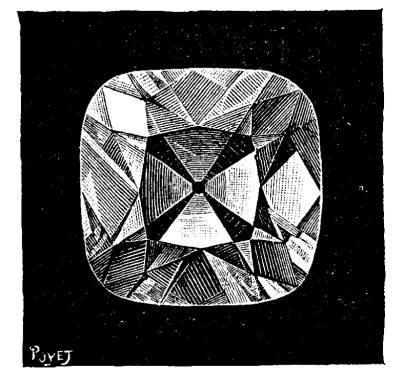 FIG. 2.—THE REGENT. (Actual Size.)