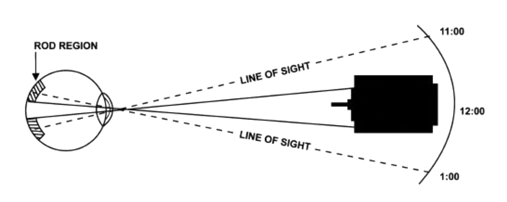 Overhead view of a cross-section of the human eye with dotted lines drawn from the edges of the arc of line of sight (11:00 to 1:00) through the lens of the eye, projected onto the rod region of the retina.