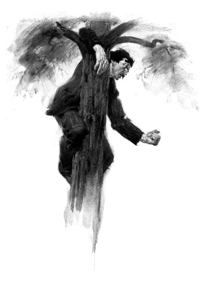 Man in a Tree