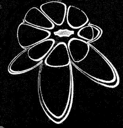 Fig. 13. Young Arachnactis seen so as to show the mouth. Fig. 13. Young Arachnactis seen so as to show the mouth.
