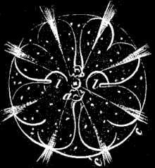Fig. 38. Young Idyia seen from the anal extremity, magnified; a anal opening, other letters as in Fig. 36. Fig. 38. Young Idyia seen from the anal extremity, magnified; a anal opening, other letters as in Fig. 36.