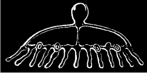 Fig. 60. Young Eucope; magnified. Fig. 60. Young Eucope; magnified.