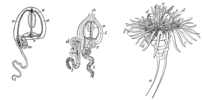 Fig 102-104 Fig 102-104
