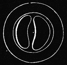 Fig. 156. Egg of Star-fish Fig. 156. Egg of Star-fish