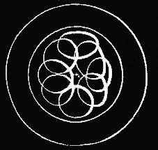 Fig. 157. Egg in which there are eight segments of the yolk. Fig. 157. Egg in which there are eight segments of the yolk.