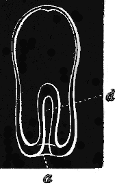 fig 160 fig 160