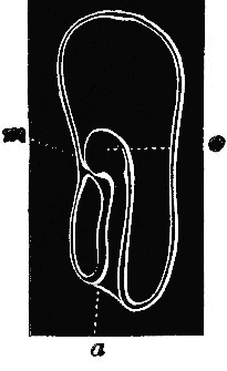 fig 164 fig 164