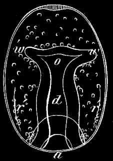 Fig. 173 Fig. 173