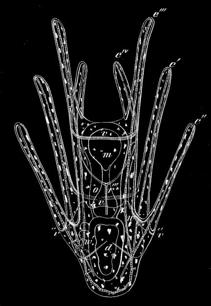 Fig. 175 Fig. 175
