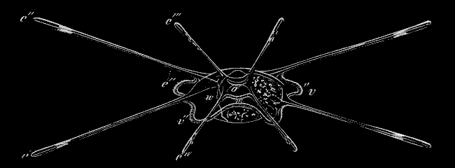 Fig. 177. Fig. 176 seen endways. Fig. 177. Fig. 176 seen endways.
